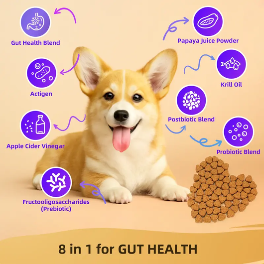 8-in-1 Multivitamin Soft Chews for Dogs – Probiotics, Gut & Immune Support – Pork Flavor – 90 Treats