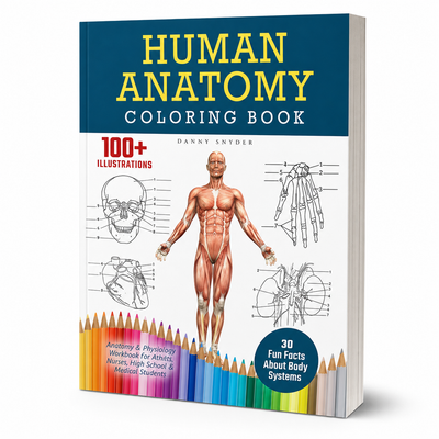 Human Anatomy Coloring Book