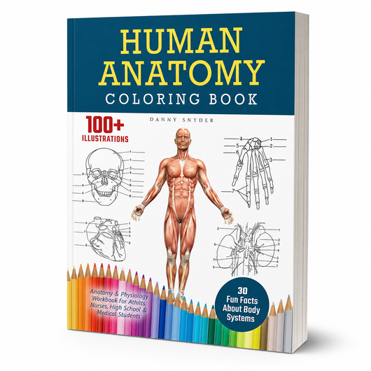 Human Anatomy Coloring Book