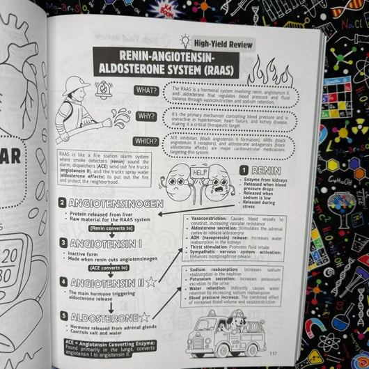 Human Anatomy Coloring Book